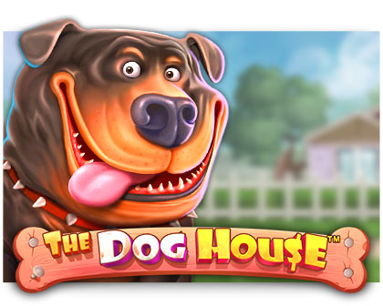 The Dog House Slot – Demo, Review, and Features Games by Pragmatic Play