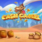 Cash Camel Review
