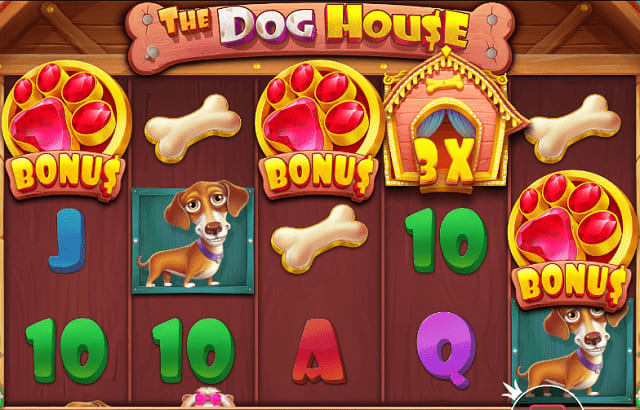 The Dog House Slot Theme and Plot 